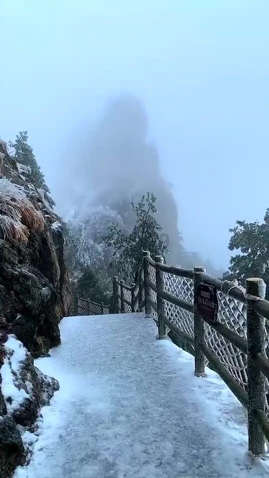春运首日直击：渤海湾上的运输长龙