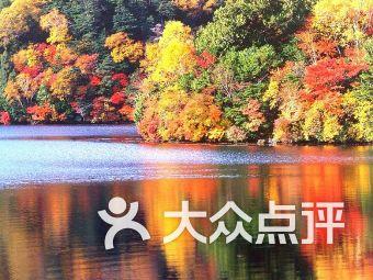 消灭红球大作战