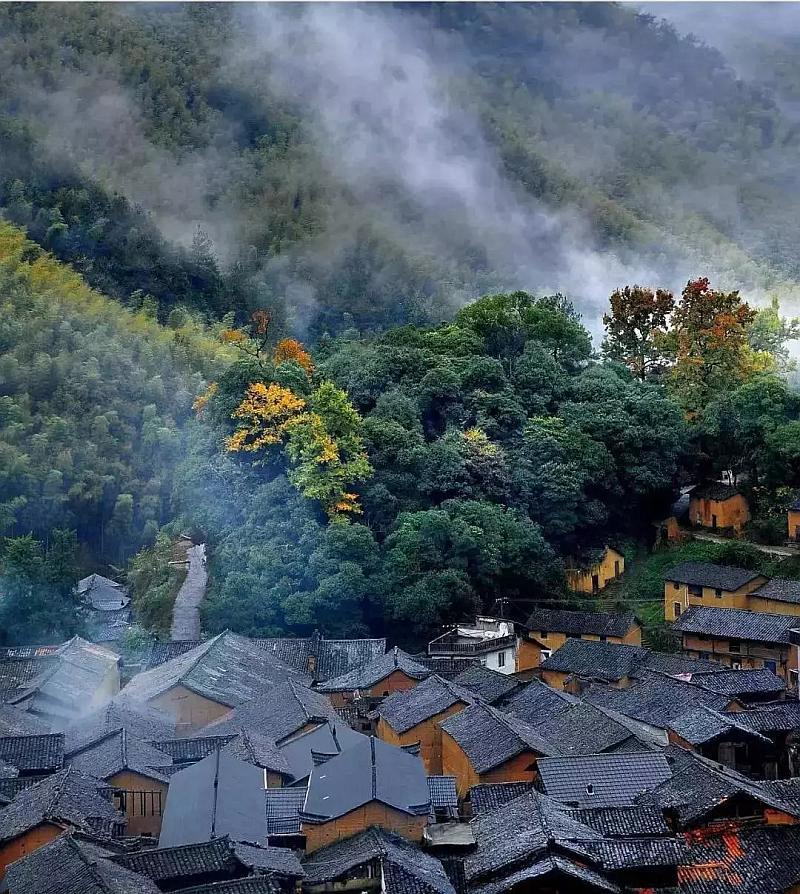影视编导（高级）怎么考？考哪些内容？考试流程是怎样的？