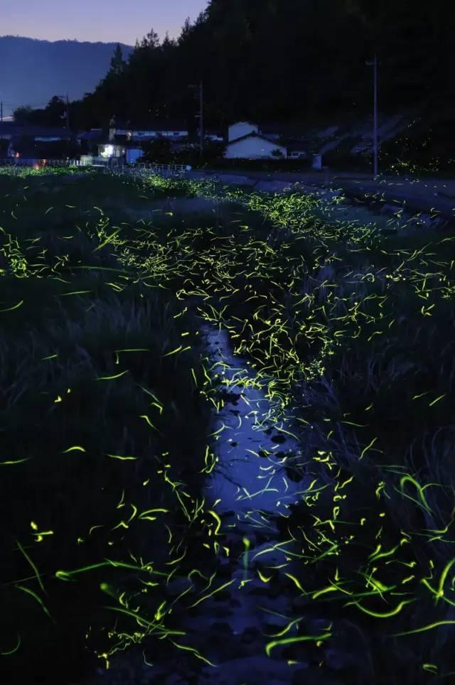 僵尸屠戮