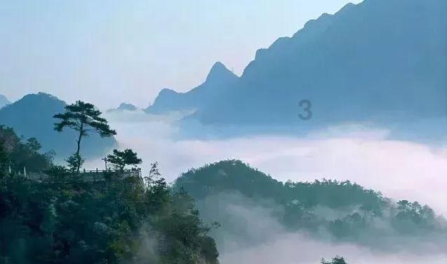 逃离森林边缘