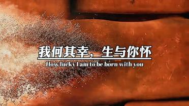 口袋侏罗纪
